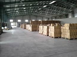 Năm 2019, giá sầu riêng dấu hiệu chững lại và đi xuống Năm 2019, giá sầu riêng dấu hiệu chững lại và đi xuống